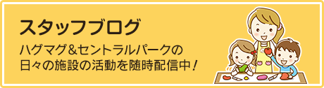 スタッフブログ